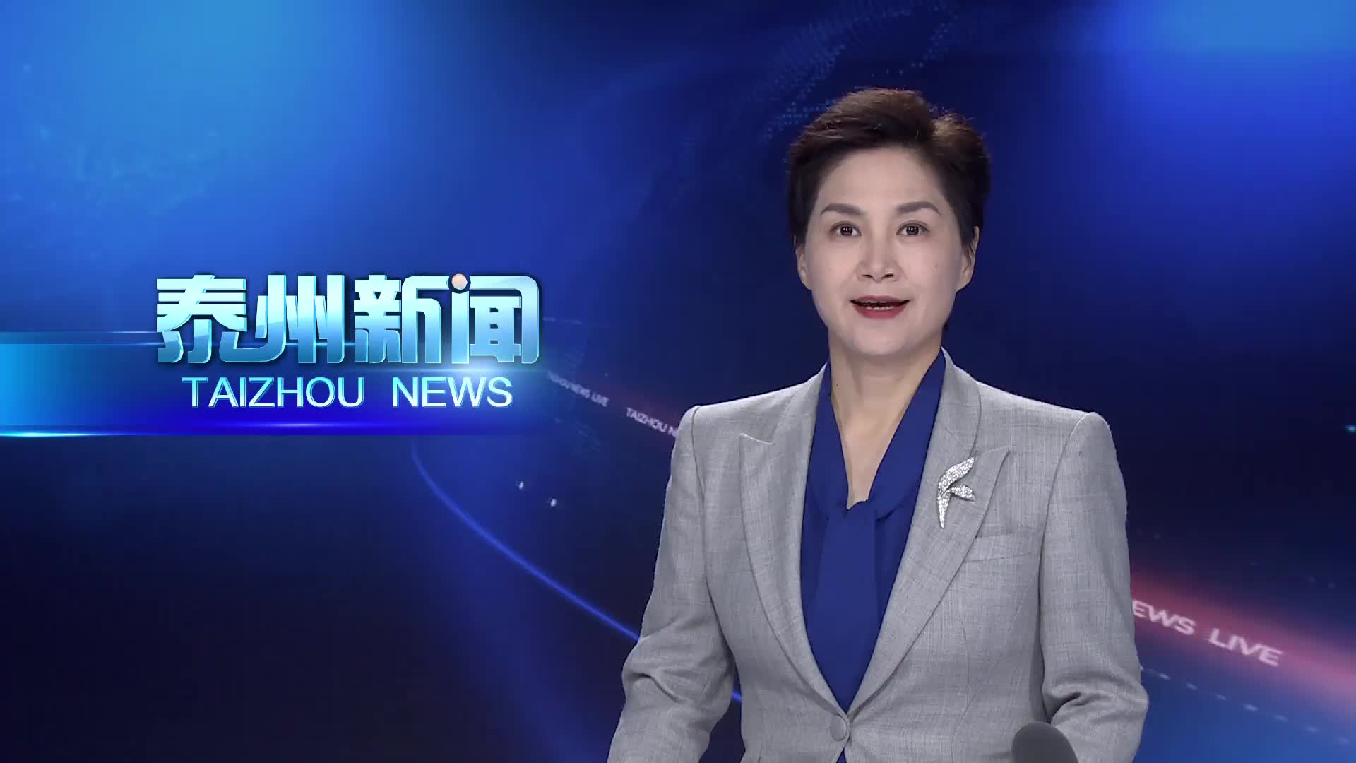 李晖调研黄桥提琴特色产业发展情况
