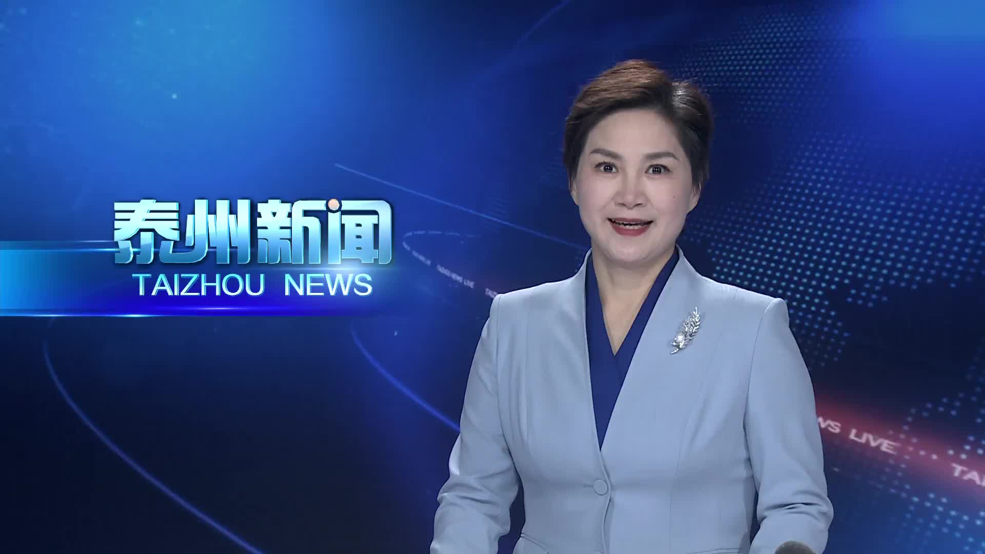 市委人才工作领导小组召开会议