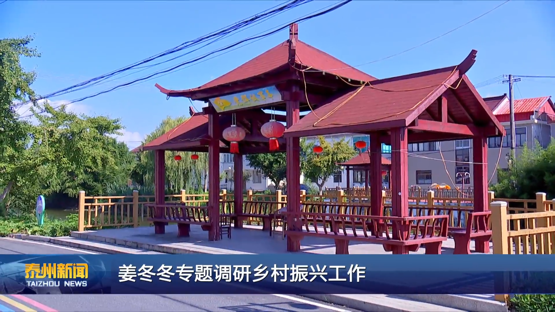 姜冬冬专题调研乡村振兴工作